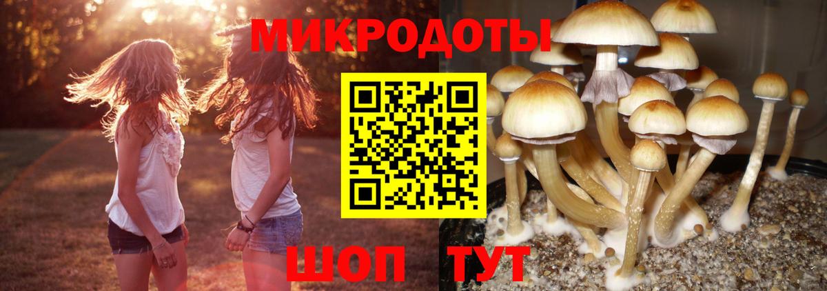 Галлюциногенные грибы прущие грибы Бердск