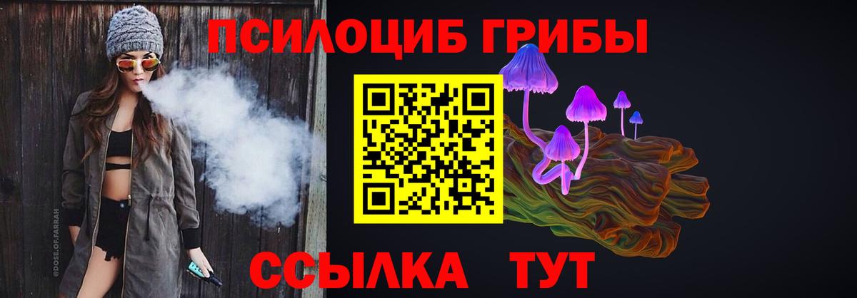 Бердск  купить наркотики цена  Вход с VPN  Галлюциногенные грибы Magic Shrooms 